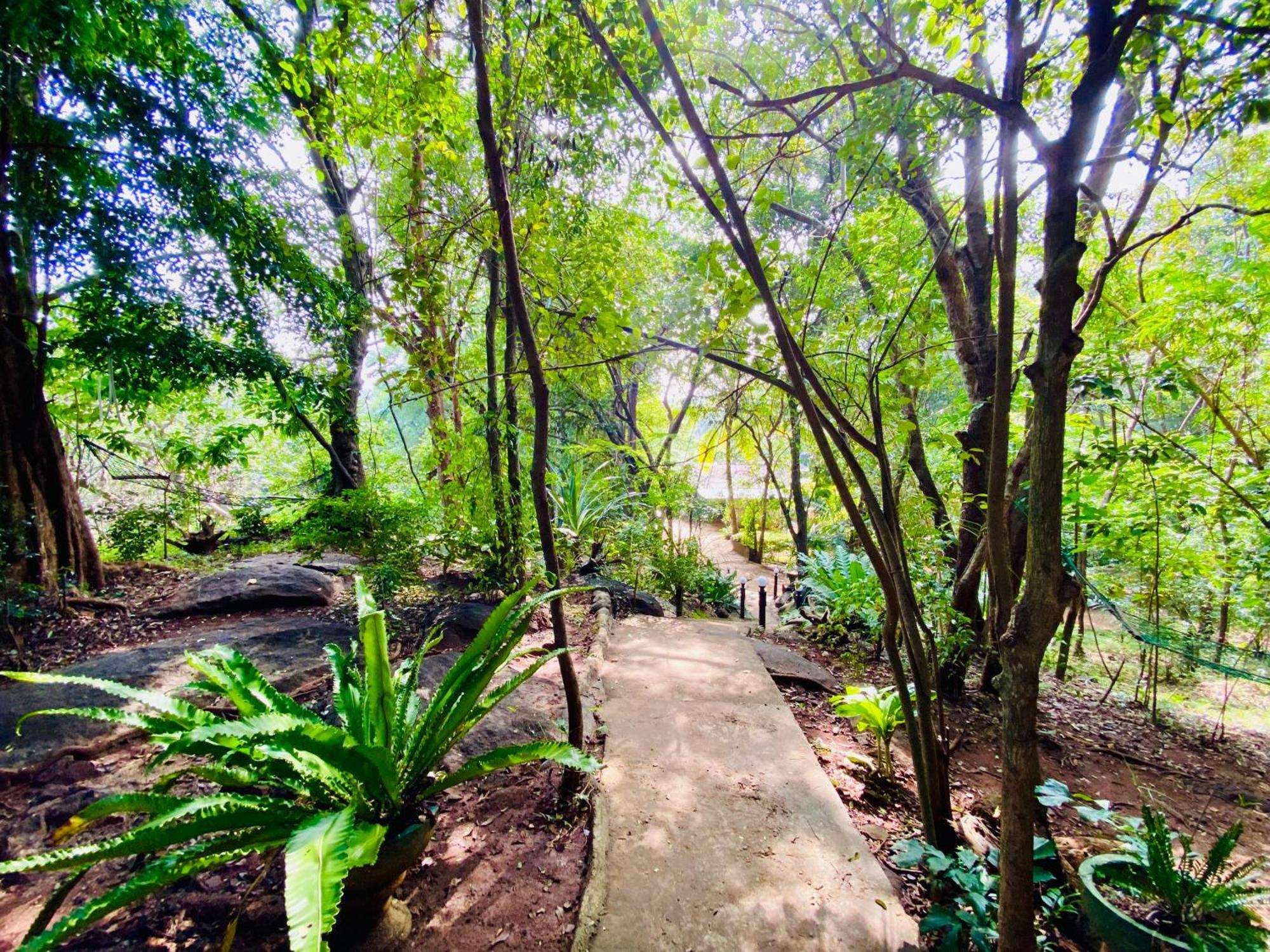 Green House Resort Sigiriya Exteriör bild